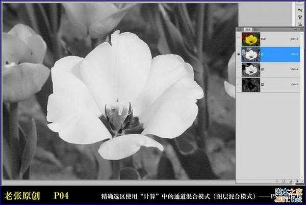 Photoshop通过计算命令无限改变花的颜色图文教程