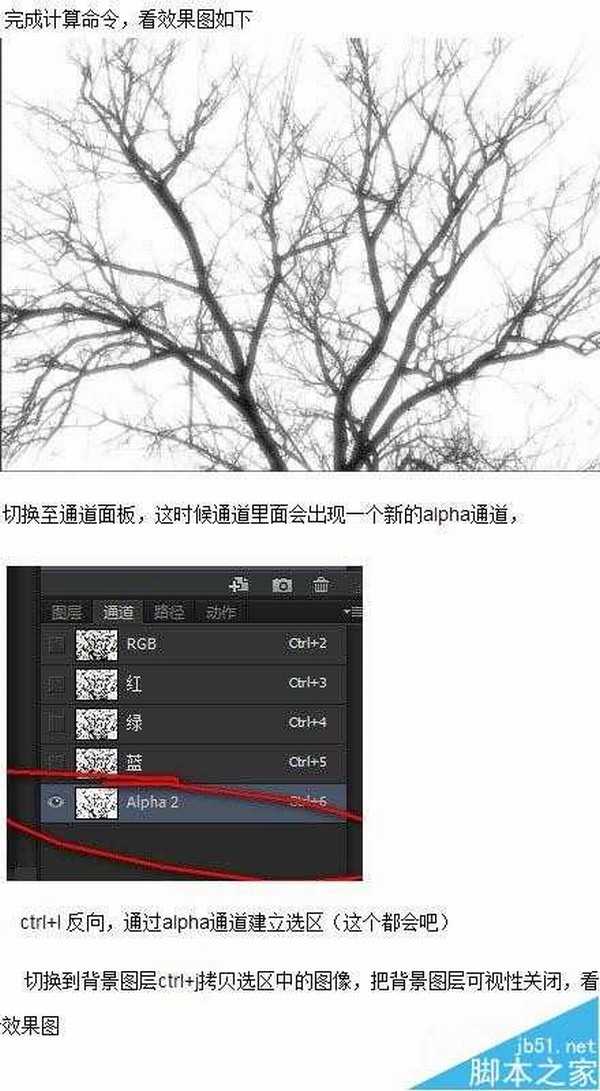 修图必备:3种实用photoshop抠图+实例讲解