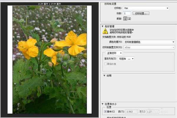 ps cs6怎么一次打印多张照片?