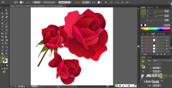 ai怎么设计一束逼真的玫瑰花? ai玫瑰花画法