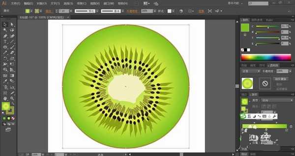 ai怎么画切开的猕猴桃图形? ai猕猴桃的画法