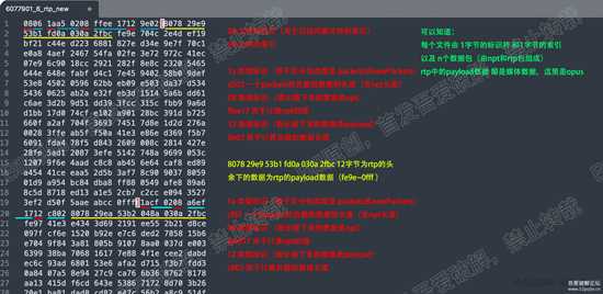 某笔音频提取实现以及结构分析（附demo）